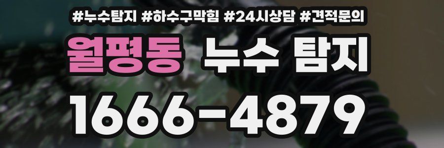 월평동 누수 탐지