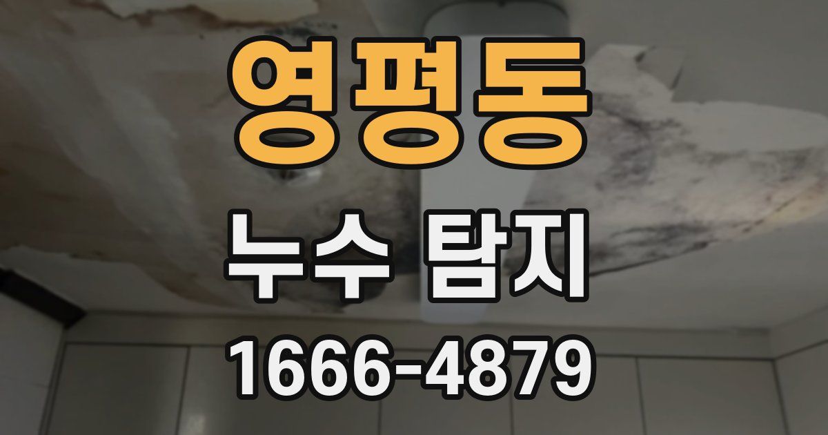 영평동 누수 탐지