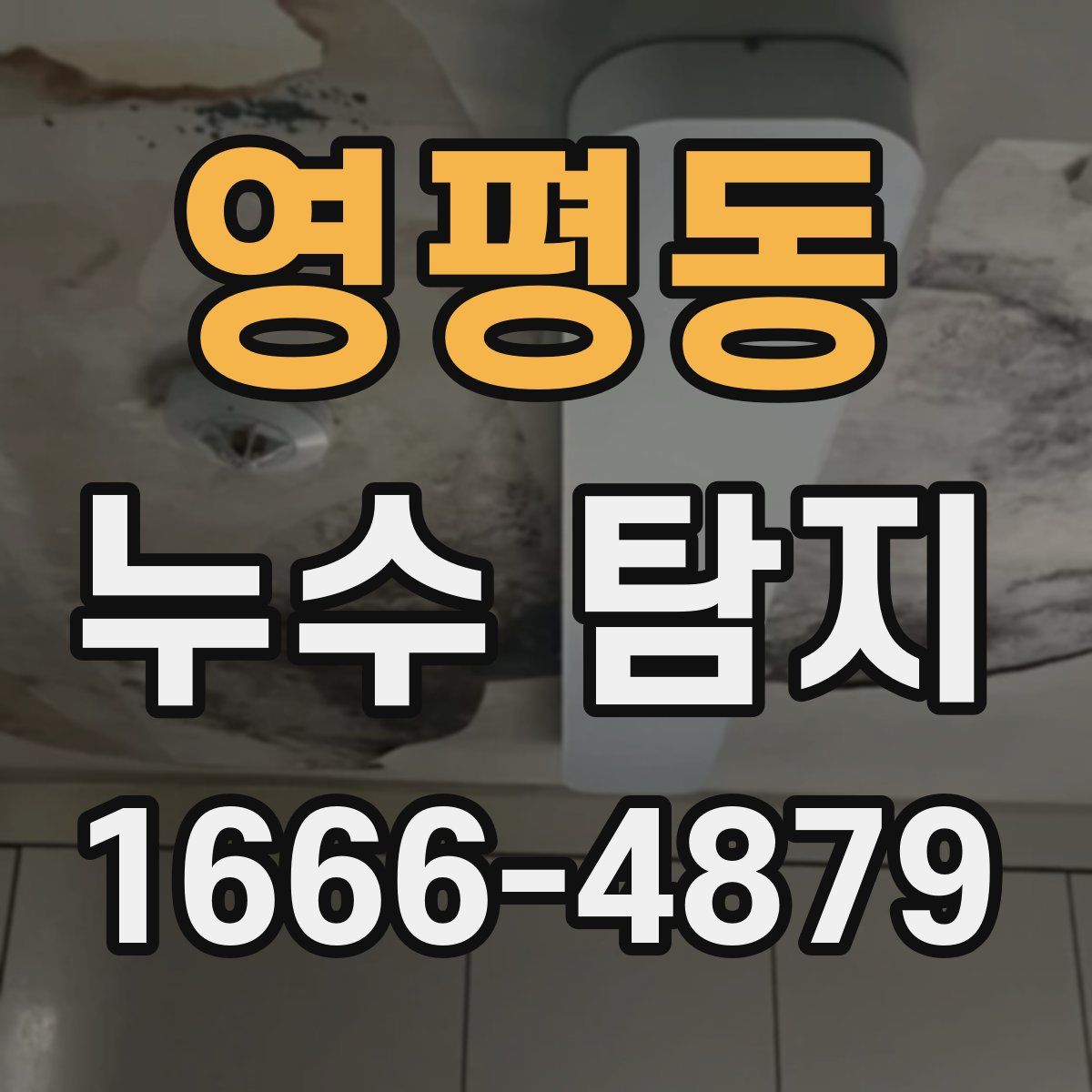 영평동 누수 탐지