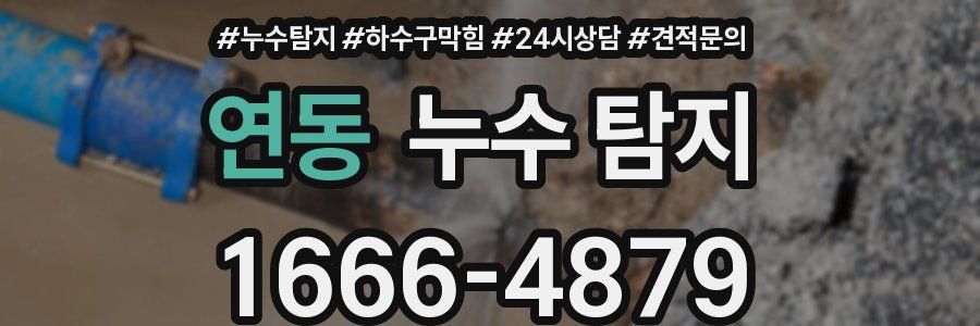 연동 누수 탐지