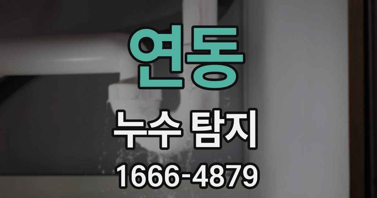 연동 누수 탐지