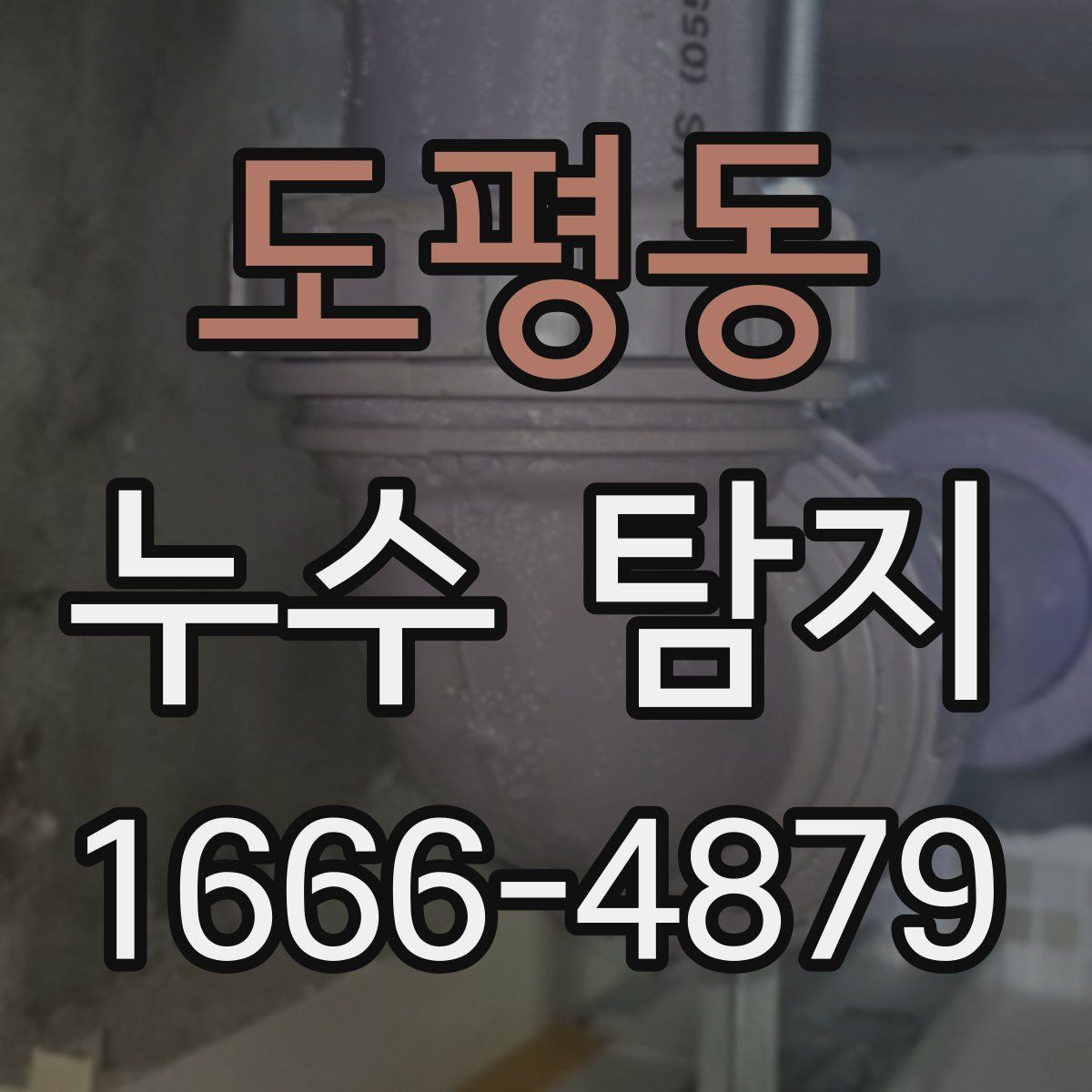 도평동 누수 탐지