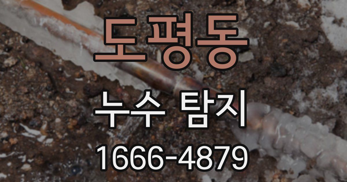 도평동 누수 탐지