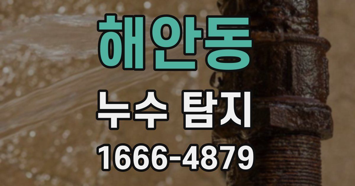 해안동 누수 탐지
