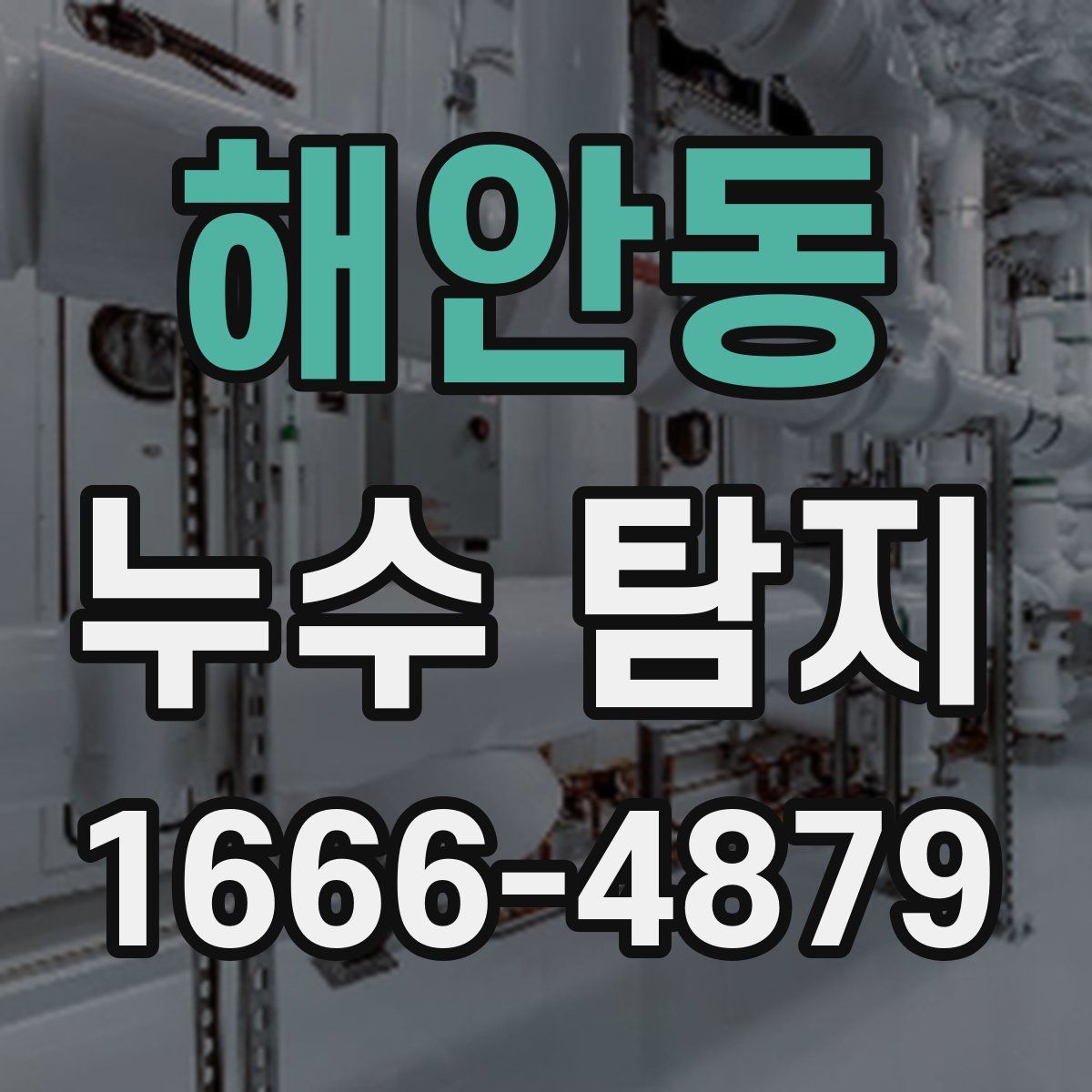 해안동 누수 탐지