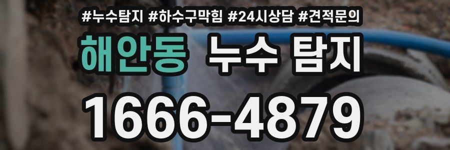 해안동 누수 탐지