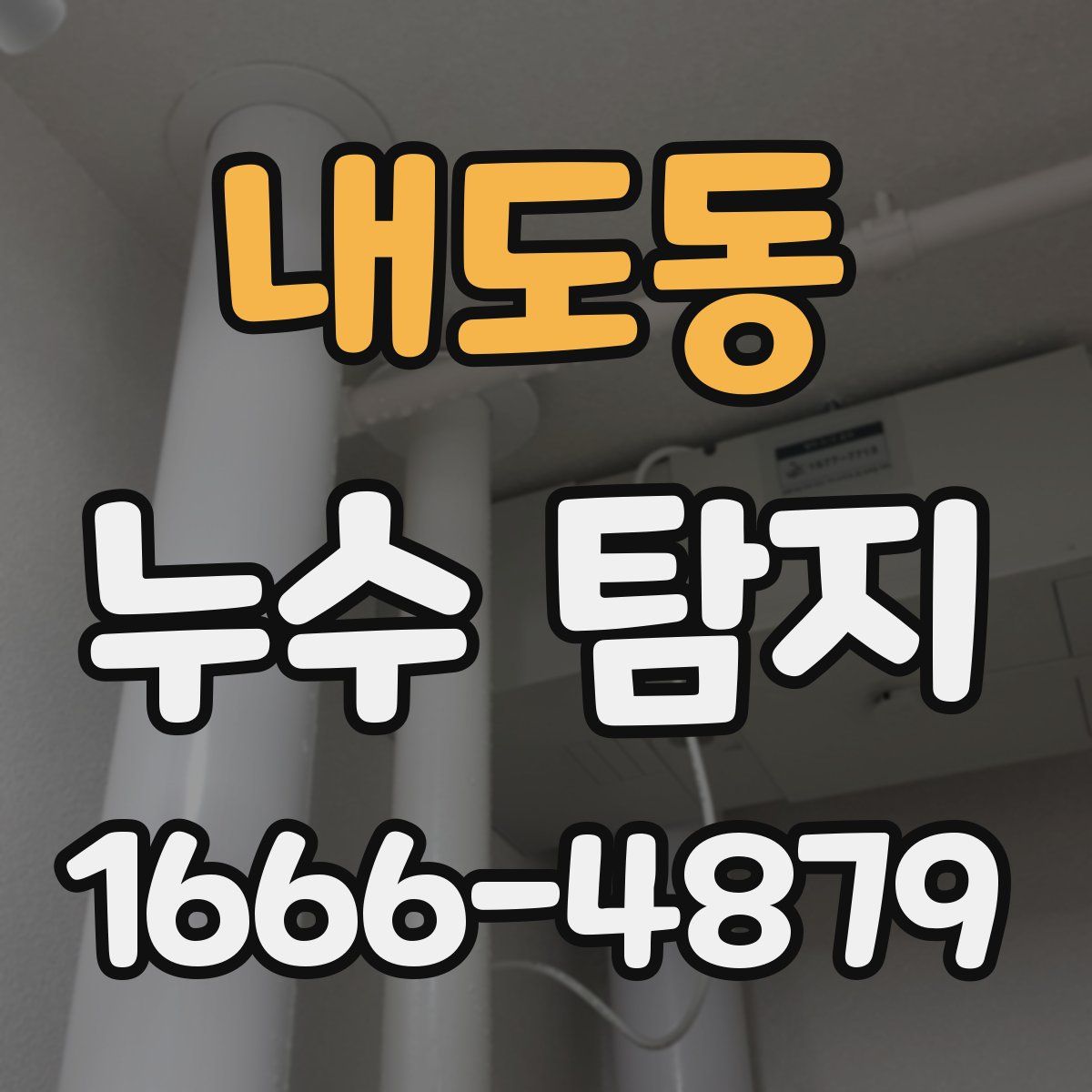 내도동 누수 탐지