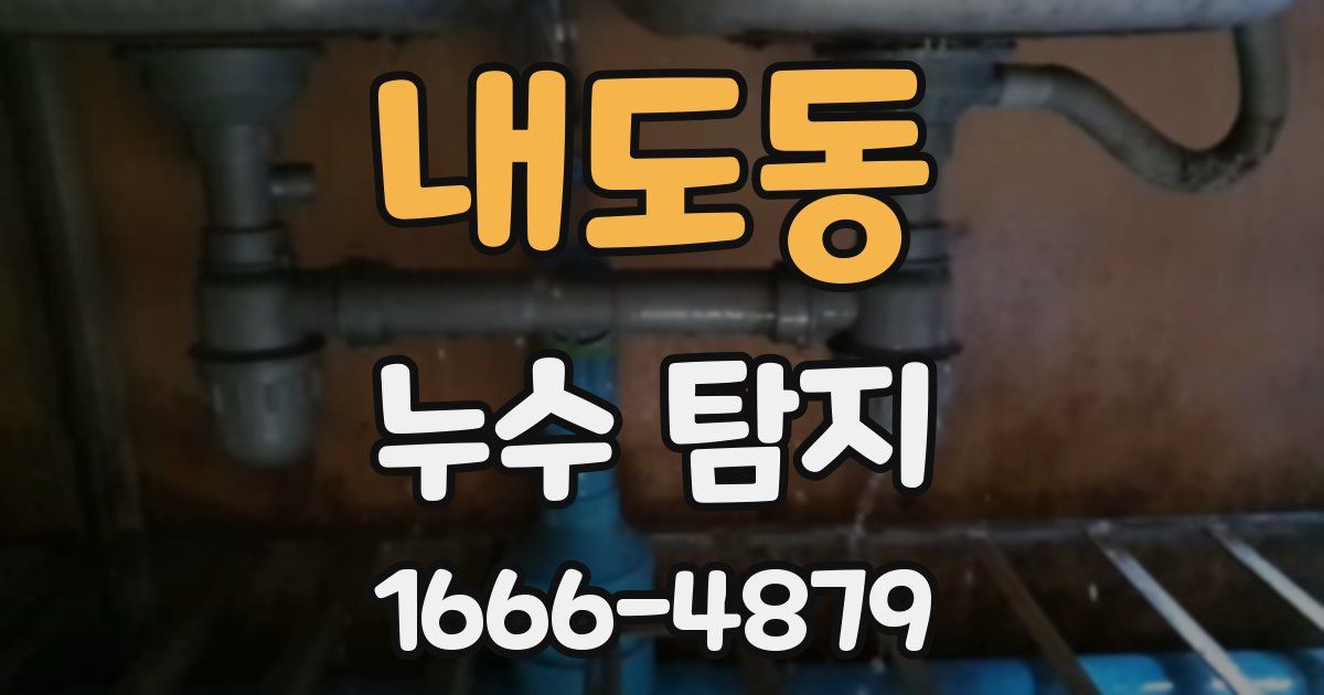 내도동 누수 탐지