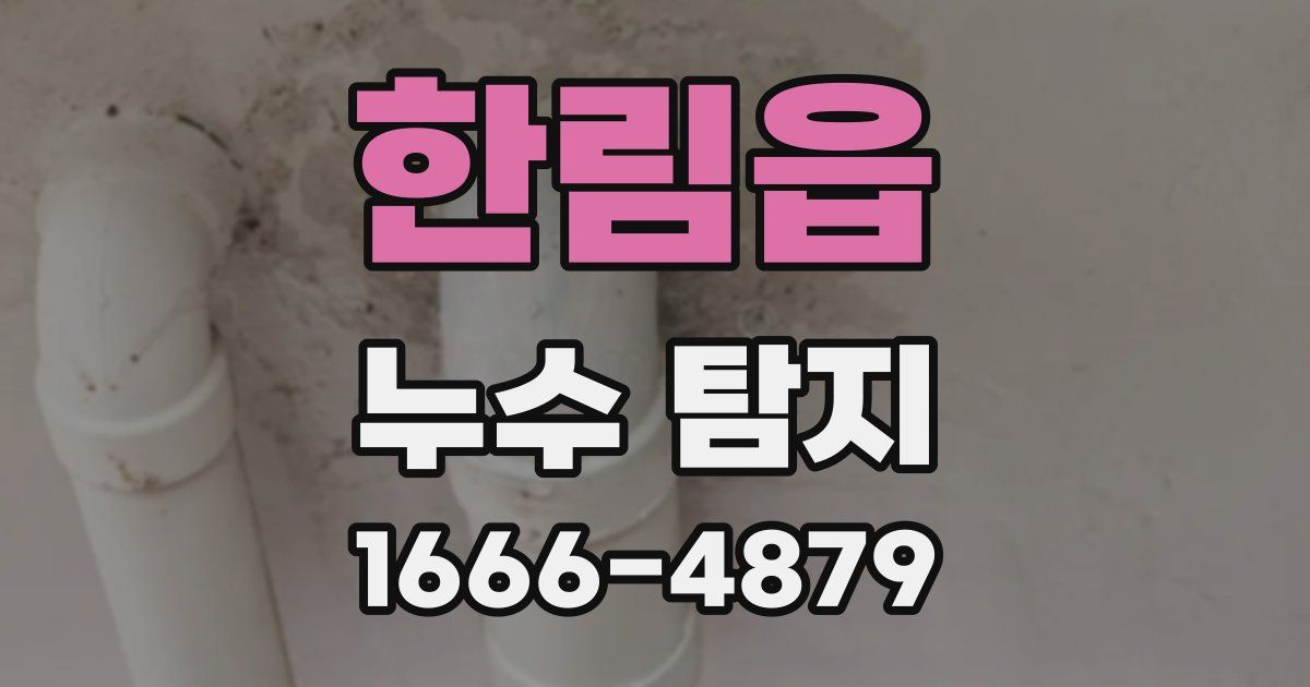 한림읍 누수 탐지