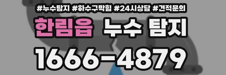 한림읍 누수 탐지