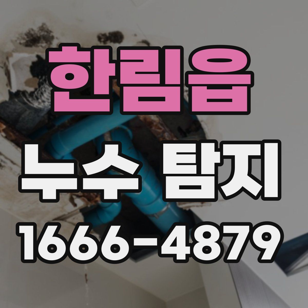 한림읍 누수 탐지
