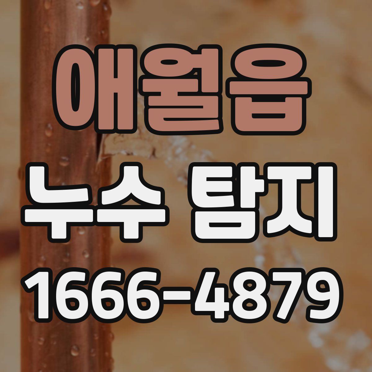 애월읍 누수 탐지