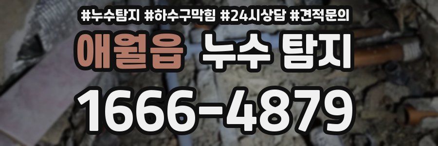 애월읍 누수 탐지
