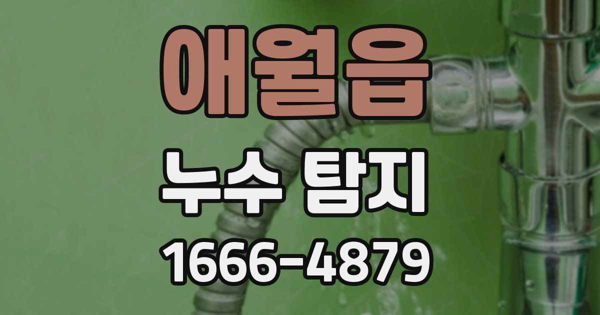 애월읍 누수 탐지
