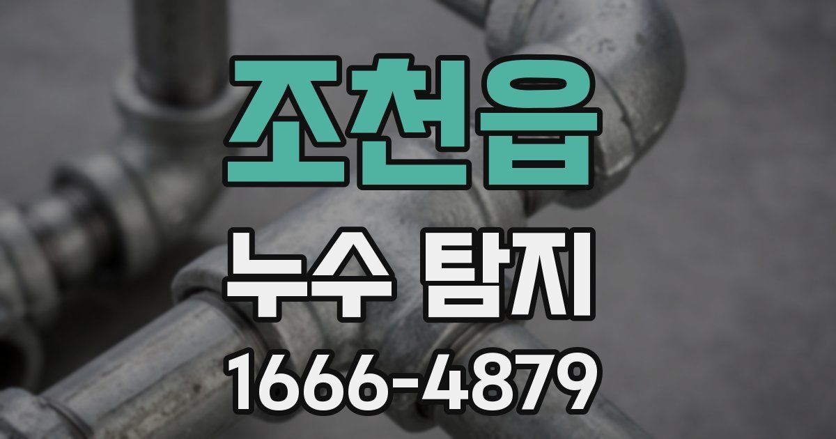조천읍 누수 탐지