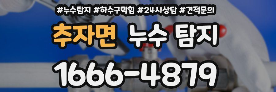 추자면 누수 탐지