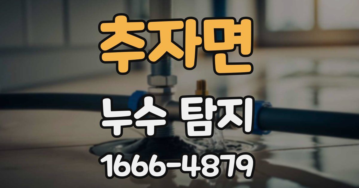 추자면 누수 탐지
