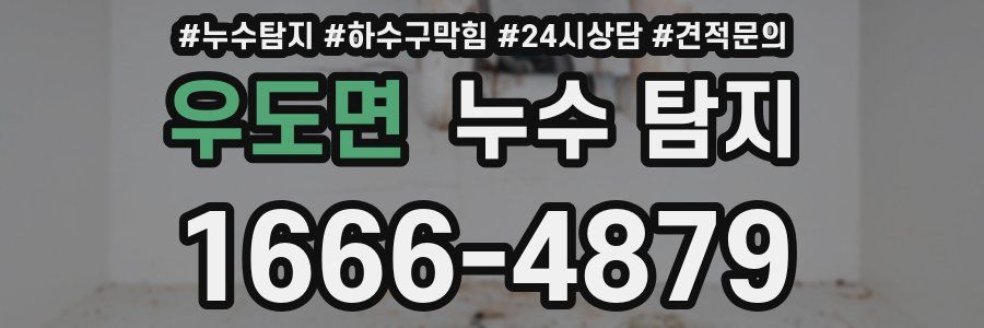 우도면 누수 탐지