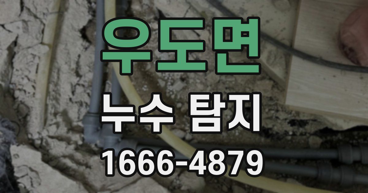 우도면 누수 탐지