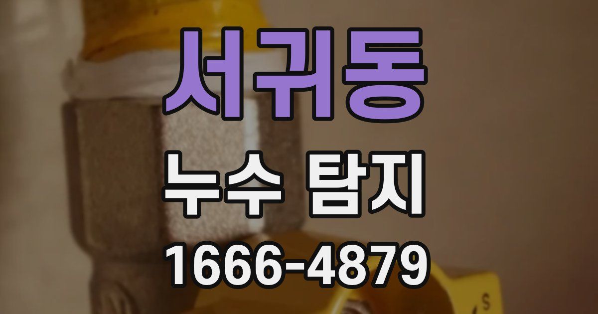 서귀동 누수 탐지