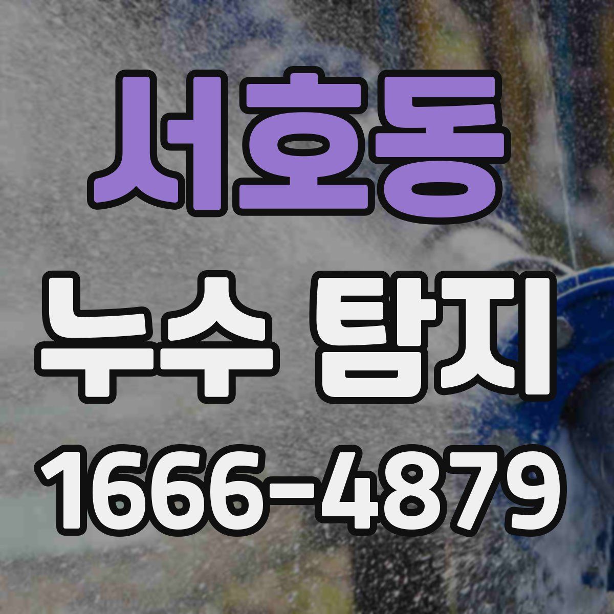 서호동 누수 탐지