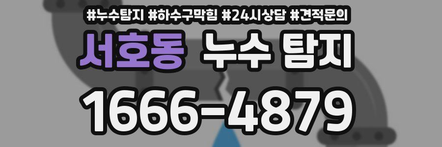 서호동 누수 탐지