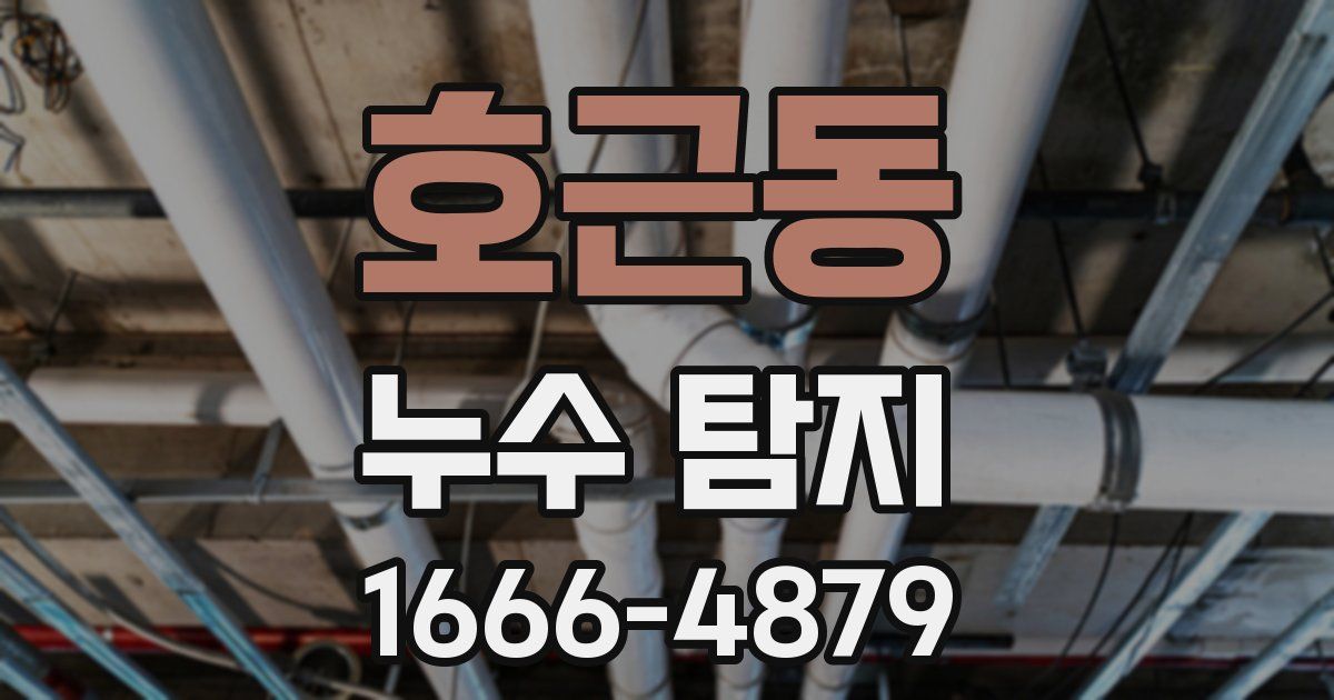 호근동 누수 탐지