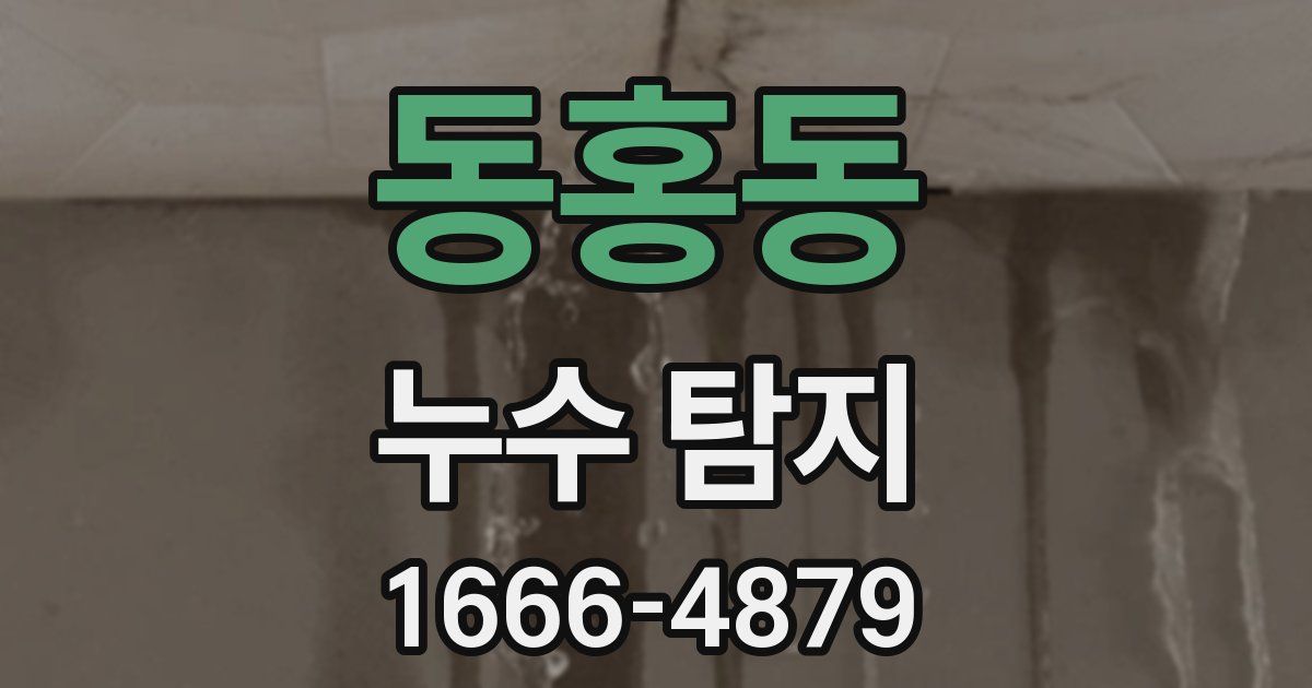 동홍동 누수 탐지