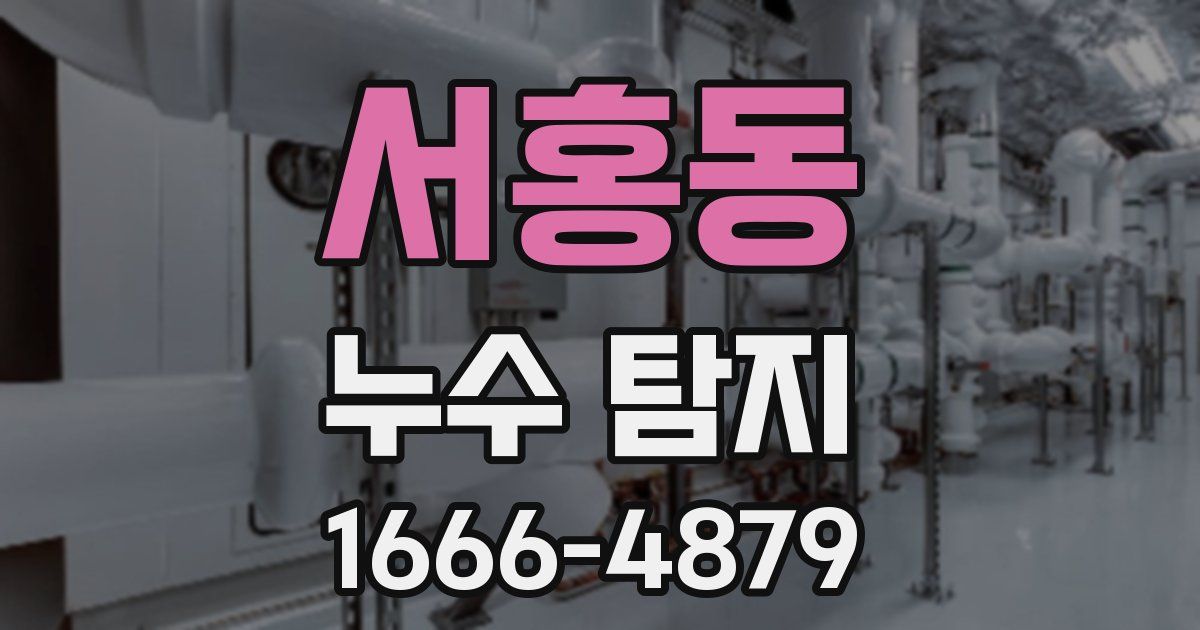 서홍동 누수 탐지