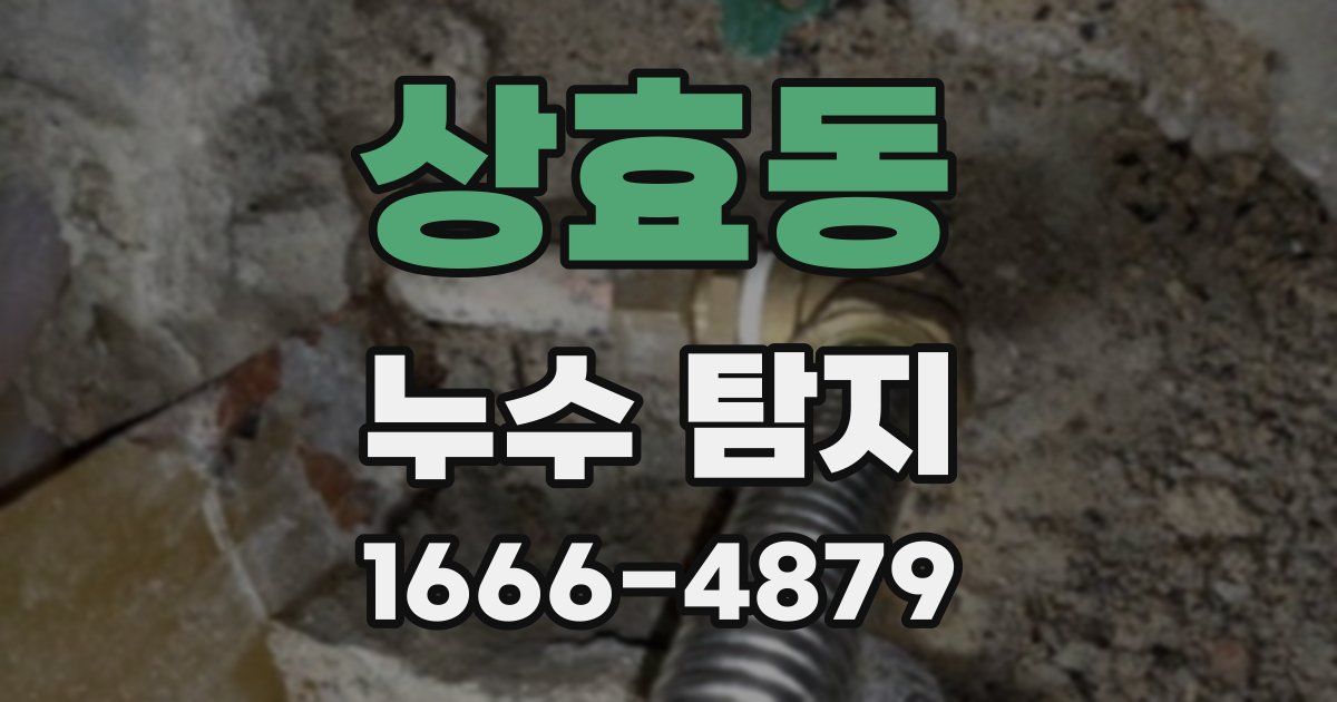 상효동 누수 탐지