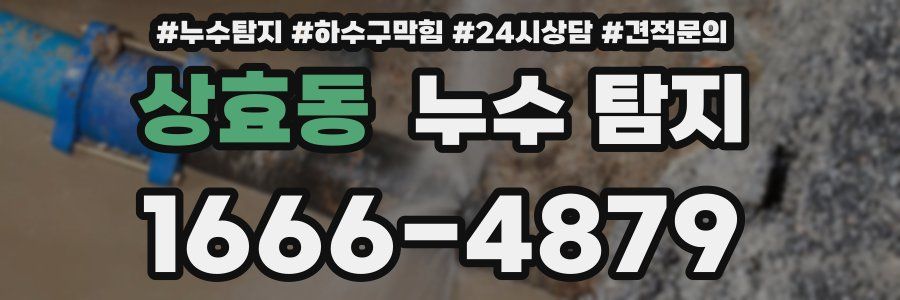 상효동 누수 탐지
