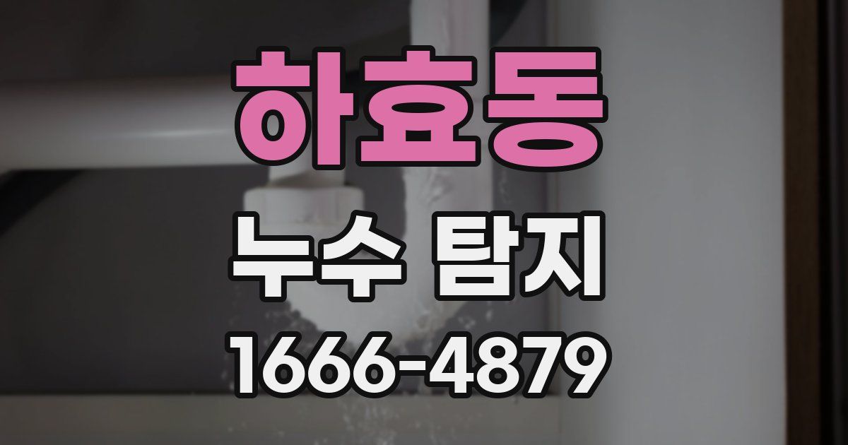 하효동 누수 탐지
