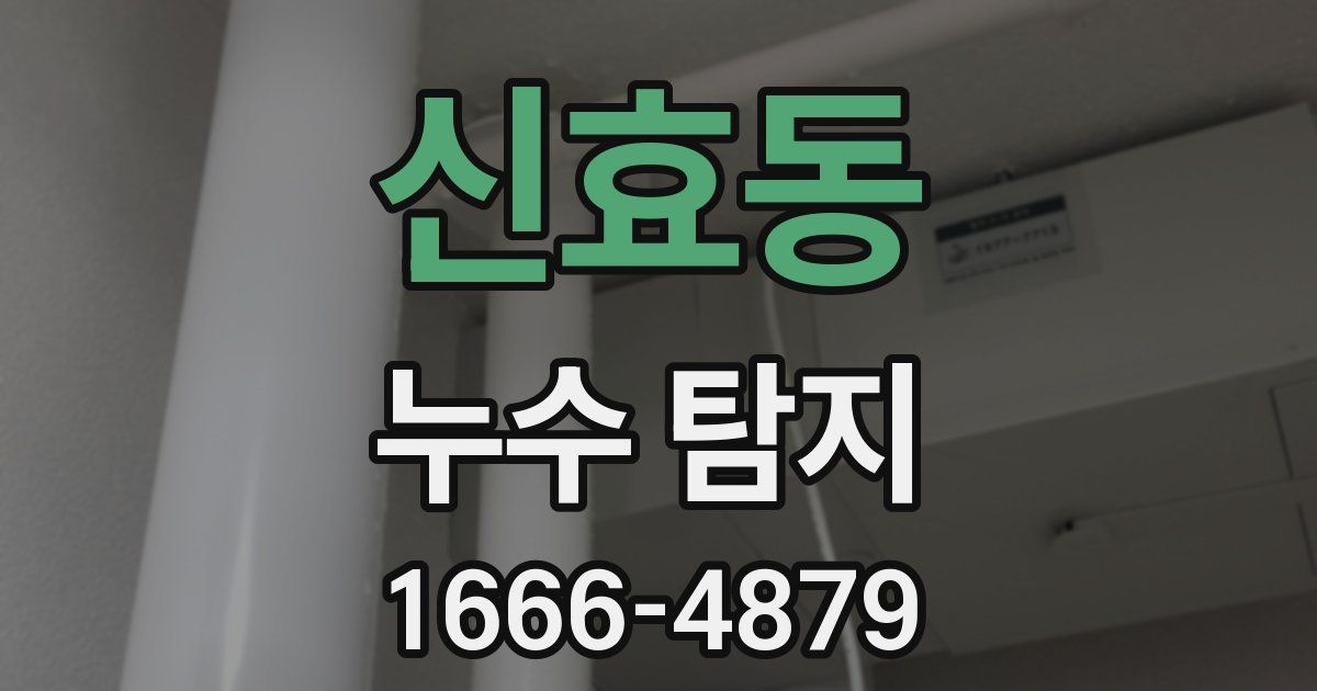 신효동 누수 탐지