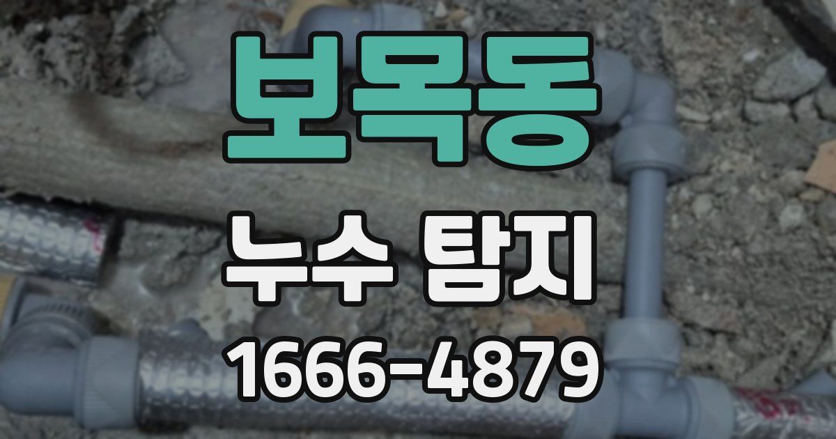 보목동 누수 탐지