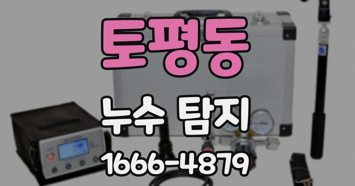 토평동 누수 탐지