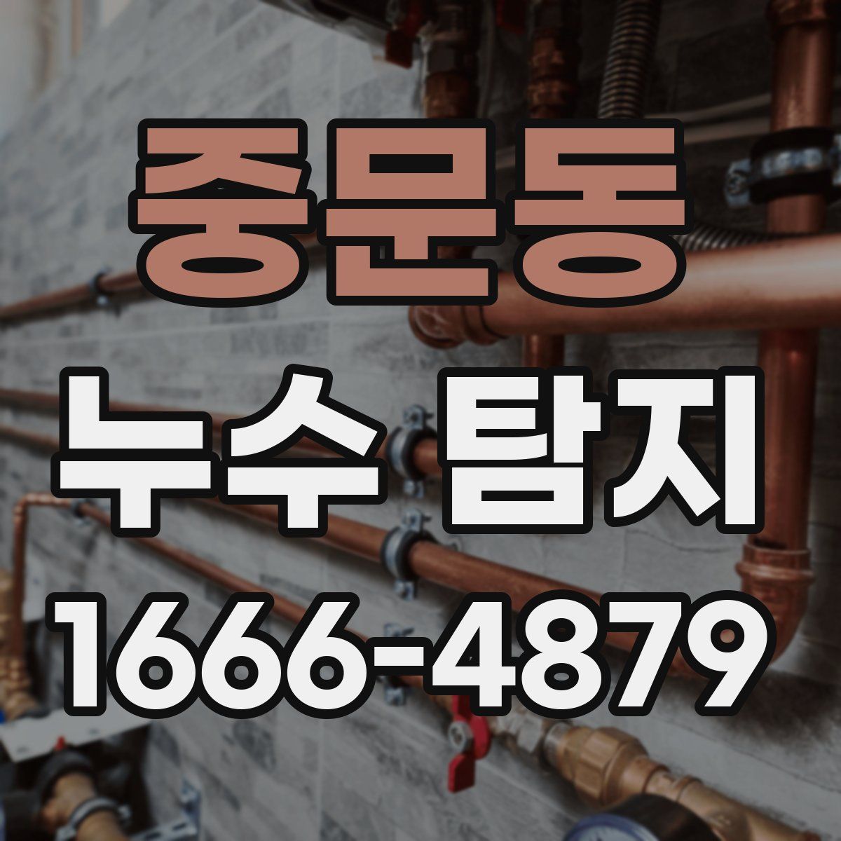중문동 누수 탐지