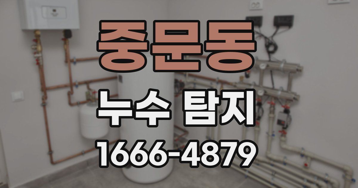 중문동 누수 탐지