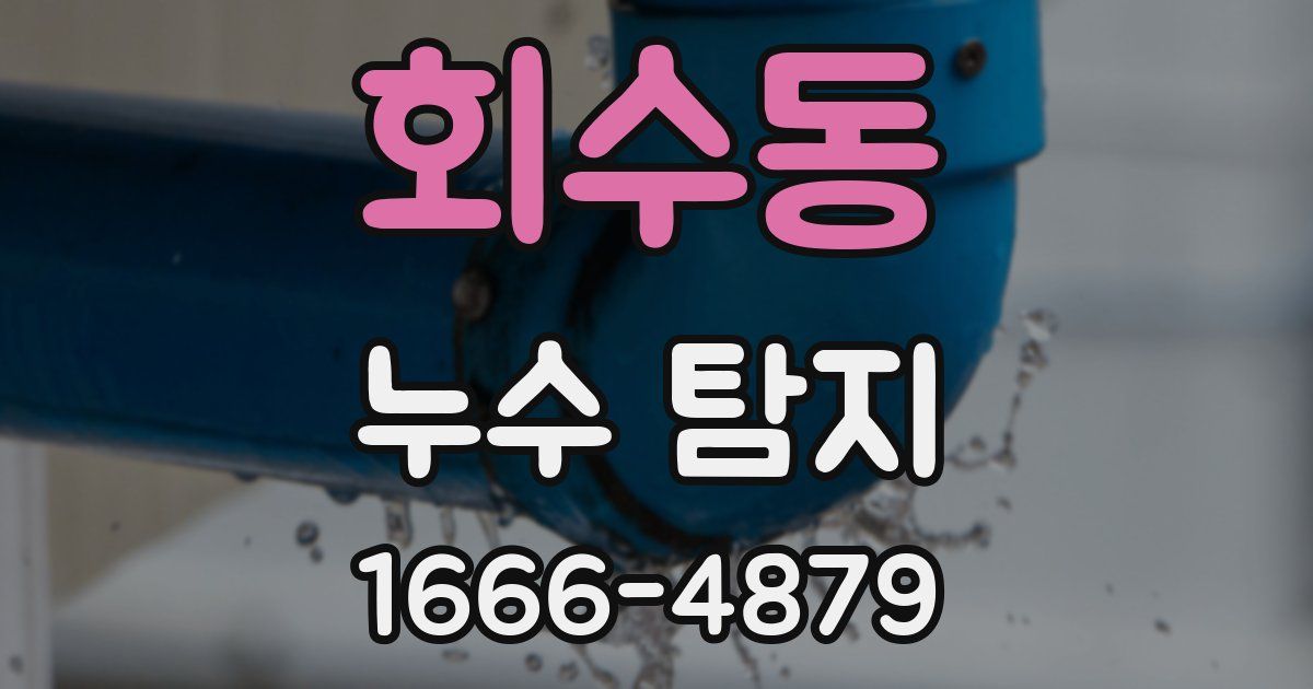 회수동 누수 탐지