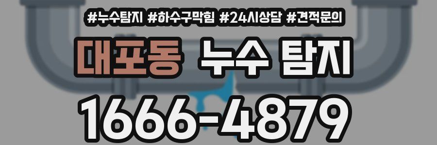 대포동 누수 탐지