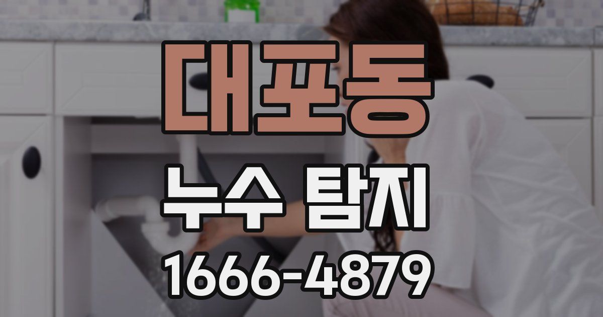 대포동 누수 탐지