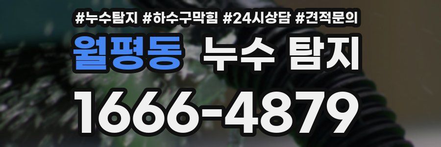 월평동 누수 탐지