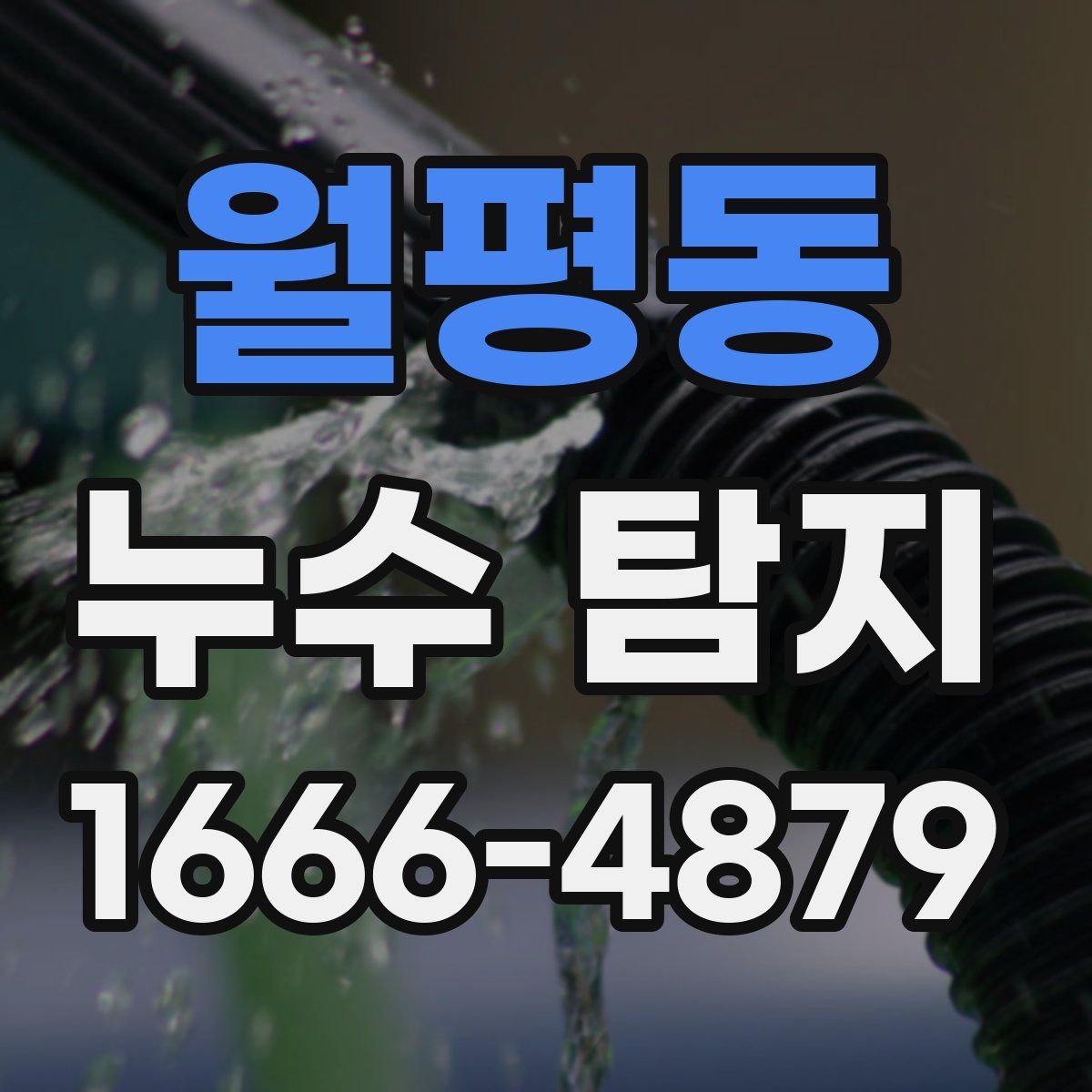 월평동 누수 탐지