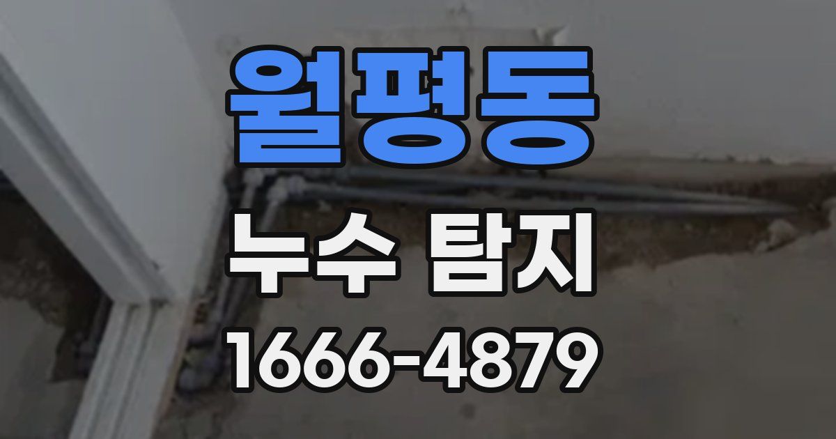 월평동 누수 탐지