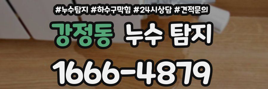 강정동 누수 탐지