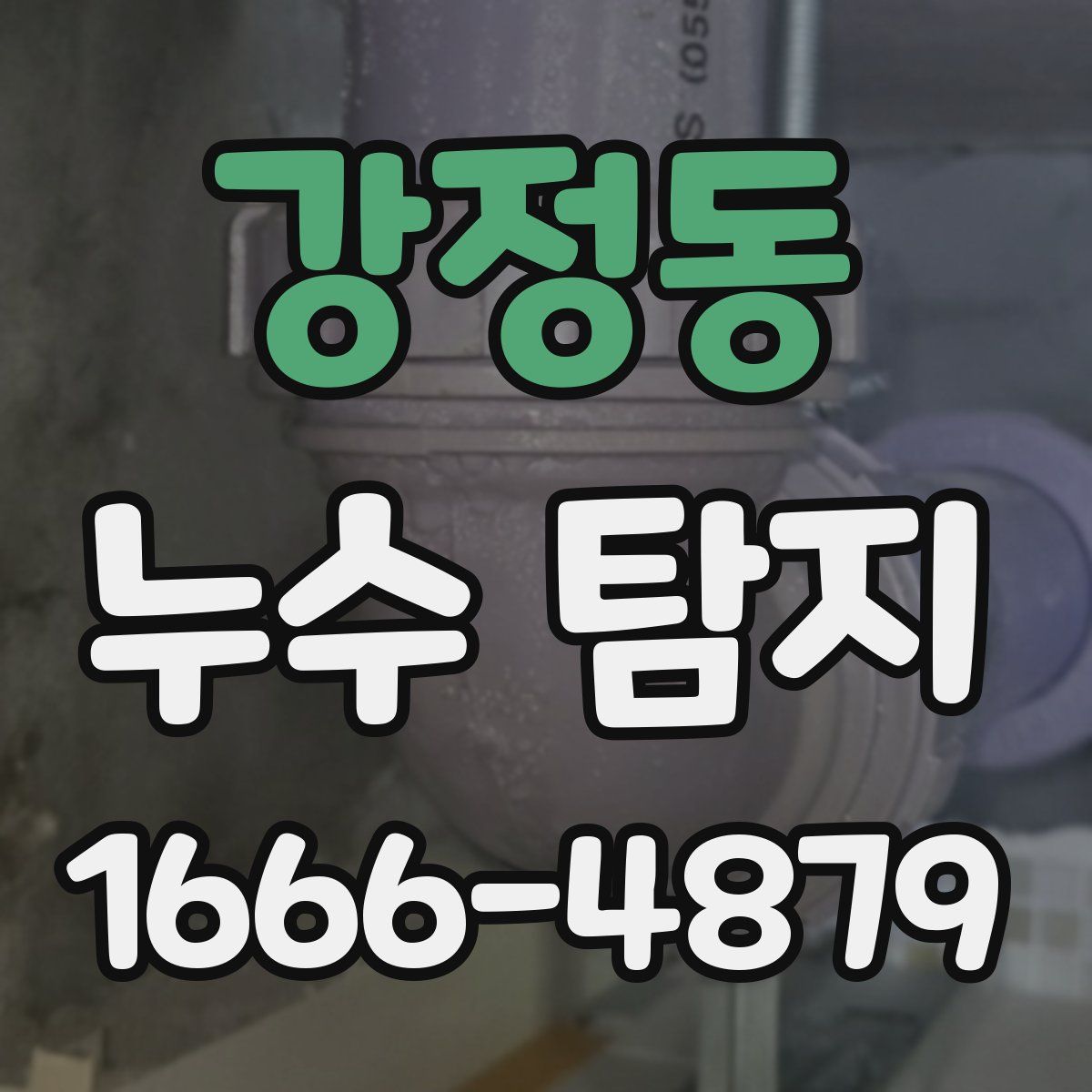 강정동 누수 탐지