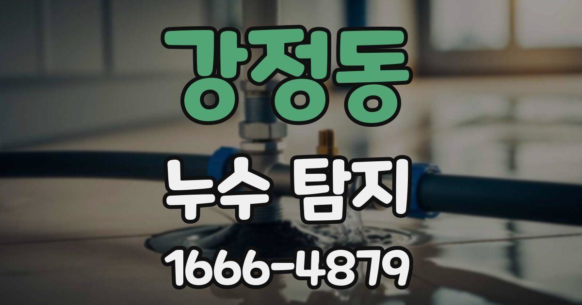 강정동 누수 탐지