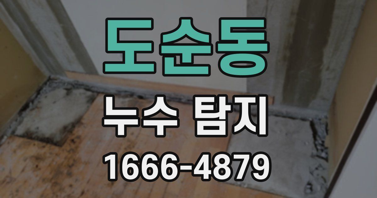 도순동 누수 탐지
