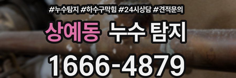 상예동 누수 탐지