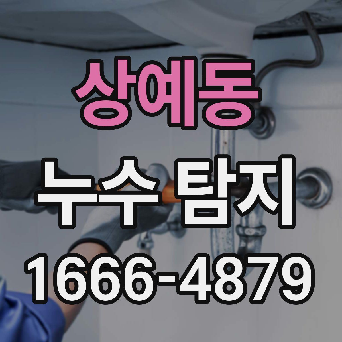 상예동 누수 탐지