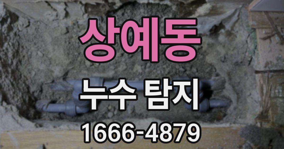 상예동 누수 탐지